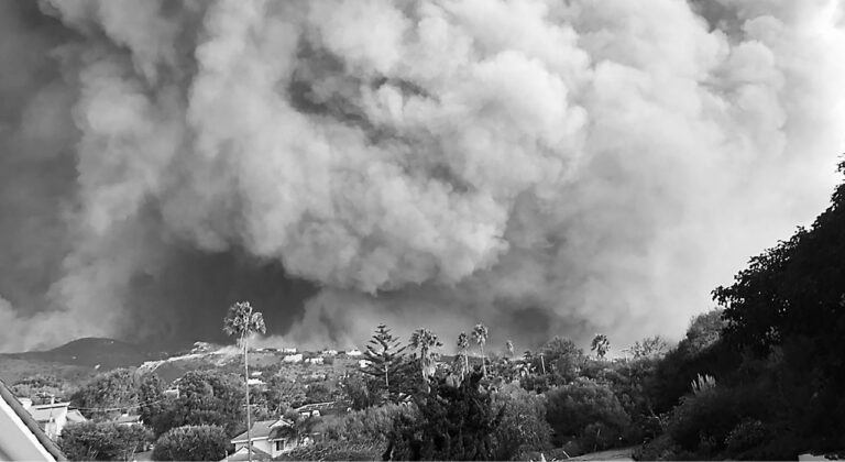 Massive wildfire smoke cloud rises over a residential neighbourhood with palm trees and hills in the background.